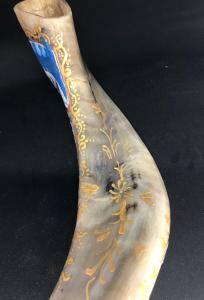 7 Days of Creation Shofar